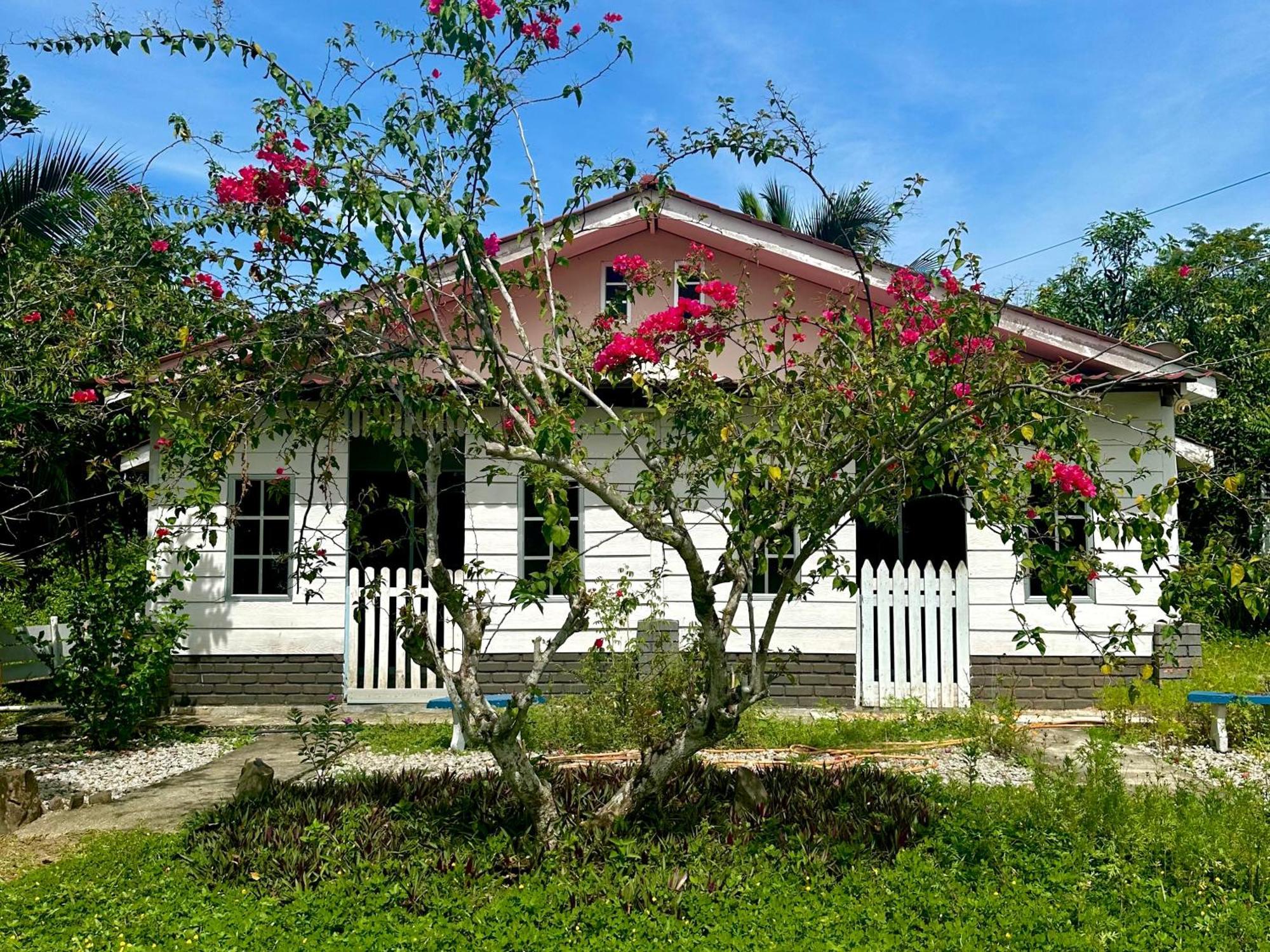 Kapal Terbang Guest House Langkawi Pantai Cenang  Zewnętrze zdjęcie